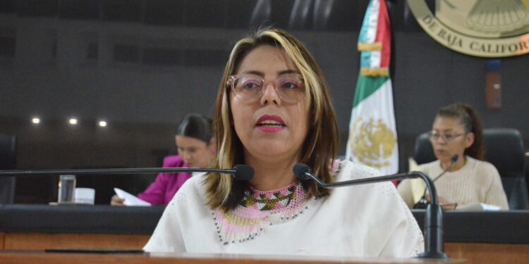 Llaman a la titular de SEMARNAT a otorgar permisos a usuarios para el avistamiento de ballenas 