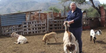 GOBIERNO IMPULSARÁ ECONOMÍA DE PRODUCTORES A TRAVÉS DE FESTIVAL DEL CABRITO EN SAN FRANCISCO DE LA SIERRA