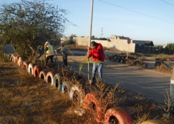 PARTICIPA SEPADA EN PROGRAMA DE REFORESTACIÓN PARA LA PAZ