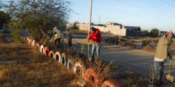PARTICIPA SEPADA EN PROGRAMA DE REFORESTACIÓN PARA LA PAZ