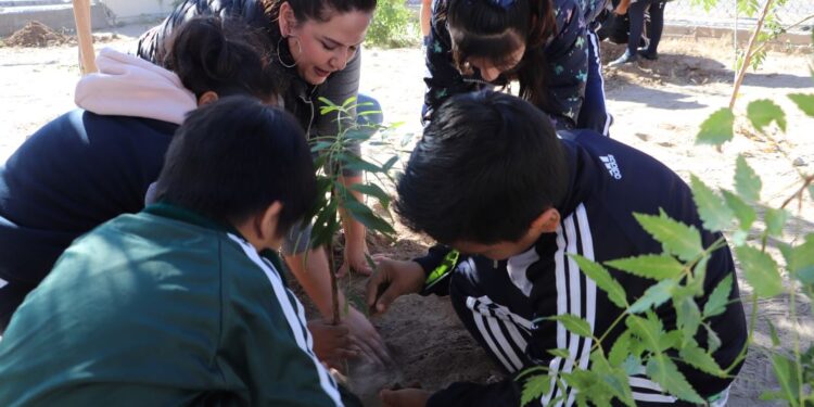 REINICIA SIPINNA ACTIVIDADES DEL PROGRAMA DE REFORESTACIÓN “PLANTANDO TUS DERECHOS”