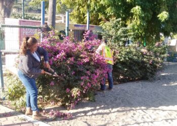 Realizan mantenimiento del parque de Los Barriles