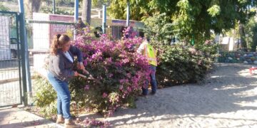 Realizan mantenimiento del parque de Los Barriles