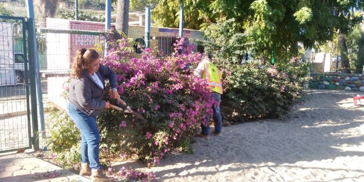 Realizan mantenimiento del parque de Los Barriles