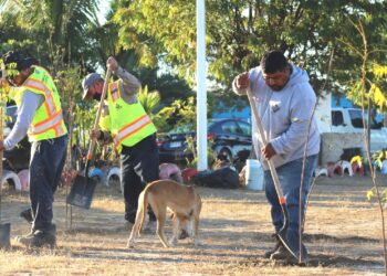 Trasplantan más de 300 árboles en parques de la colonia Valle Dorado y La Pitahaya