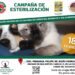 Campañas de Esterilización Canina y Felina los días 15 y 18 de febrero en San José del Cabo.