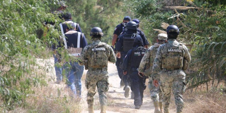 Se realizan de manera continua recorridos de vigilancia en la reserva natural del Estero en San José del Cabo.
