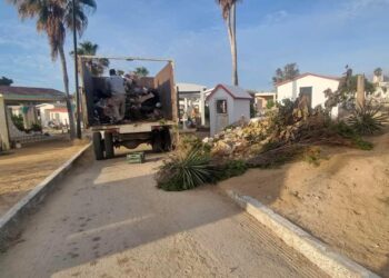 La Dirección General de Servicios Públicos realiza tareas de retiro de basura, buscando garantizar espacios en óptimas condiciones para el ingreso de la comunidad.