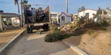La Dirección General de Servicios Públicos realiza tareas de retiro de basura, buscando garantizar espacios en óptimas condiciones para el ingreso de la comunidad.