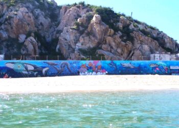 El Gobierno de Los Cabos se sumará al proyecto de arte voluntario de Alan Isac