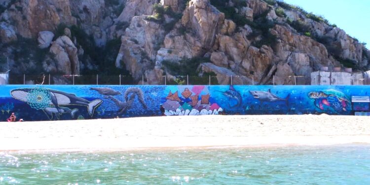 El Gobierno de Los Cabos se sumará al proyecto de arte voluntario de Alan Isac