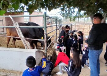 UABCS reanuda visitas guiadas a su Posta Zootécnica 