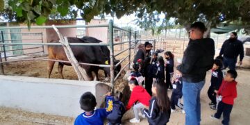 UABCS reanuda visitas guiadas a su Posta Zootécnica 