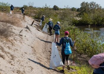 INCREMENTA PARTICIPACIÓN EN ACTIVIDADES DE DIVULGACIÓN AMBIENTAL 
