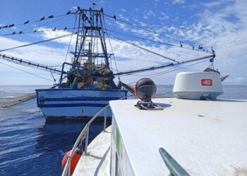 PROMUEVE FONMAR ENFOQUE SUSTENTABLE EN ESPECIES MARINAS DE BCS 