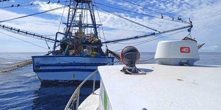 PROMUEVE FONMAR ENFOQUE SUSTENTABLE EN ESPECIES MARINAS DE BCS 