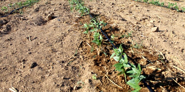 SEPADA PROMUEVE EL CUIDADO DEL AGUA EN EL USO AGRICOLA