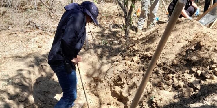 EN ATENCIÓN A DENUNCIA ANÓNIMA CIUDADANA LOCALIZAN INHUMACIÓN CLANDESTINA Y RESTOS HUMANOS EN LOS CABOS   