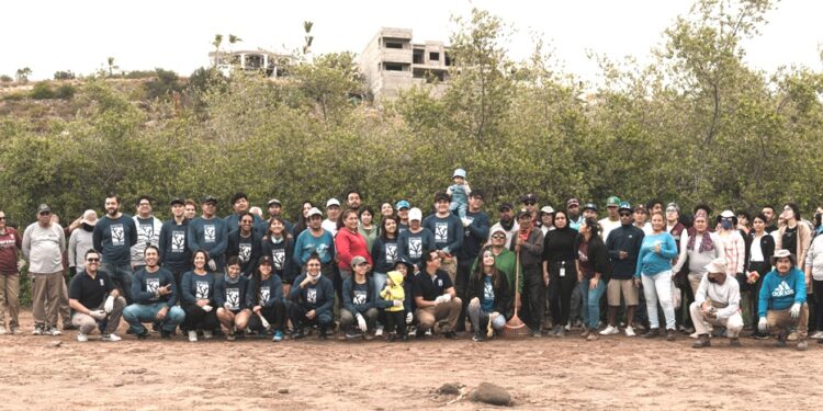 Realiza Ayuntamiento la primer macro limpieza del año en el Manglar Palmira