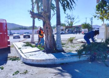 Realiza Servicios Públicos trabajos de mantenimiento del rastro municipal