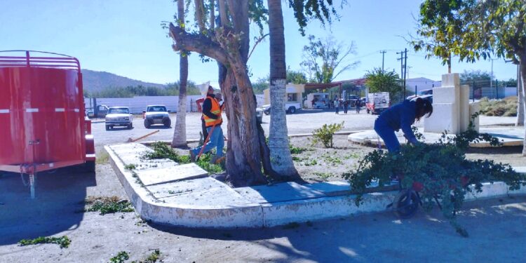 Realiza Servicios Públicos trabajos de mantenimiento del rastro municipal