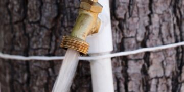 Suministradas 104 colonias con el servicio de agua potable por red, el 01 de febrero: OOMSAPAS La Paz