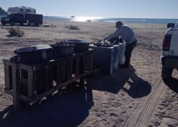 Refuerza la limpieza y vigilancia de las playas