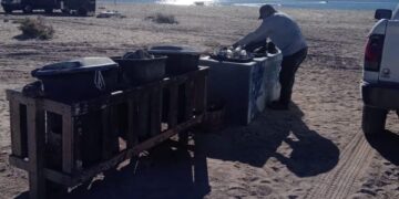 Refuerza la limpieza y vigilancia de las playas