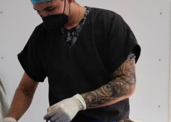 Durante el mes de marzo, se han realizado más de 463 esterilizaciones caninas y felinas en Los Cabos