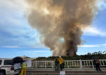 Autoridades del Gobierno Municipal reiteran el llamado a la ciudadanía no acercarse a la zona del incendio en las inmediaciones del Estero de San José del Cabo