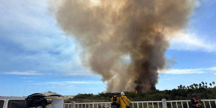 Autoridades del Gobierno Municipal reiteran el llamado a la ciudadanía no acercarse a la zona del incendio en las inmediaciones del Estero de San José del Cabo