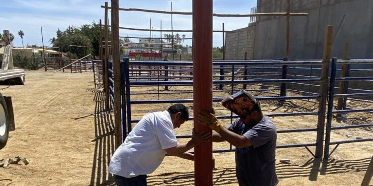 Preparativos para la celebración de Las Fiestas Tradicionales de San José del Cabo 2024