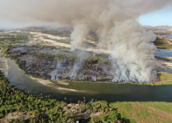 La Coordinación Municipal de la Reserva Ecológica Estatal Estero San José del Cabo realizaran el primer reporte al Centro de Comando y Control C2