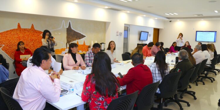 Cuarta Sesión Ordinaria del Sistema Estatal de Protección Integral de Niñas, Niños y Adolescentes de Baja California Sur