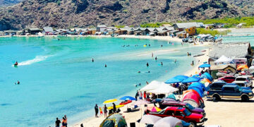 IMPORTANTE QUE VACACIONISTAS SIGAN MEDIDAS PARA EVITAR MORDEDURAS DE SERPIENTES O PICADURAS DE ARAÑAS