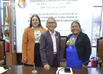 “Realizamos un ejercicio de representación legal y temporal del Poder Legislativo al que nos obliga la ley; un ejercicio democrático”, Dip. Mapy Moreno