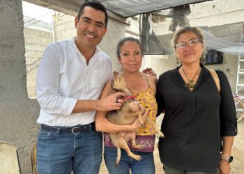 Seguiré trabajando en promover acciones para la protección animal: Rigo Mares