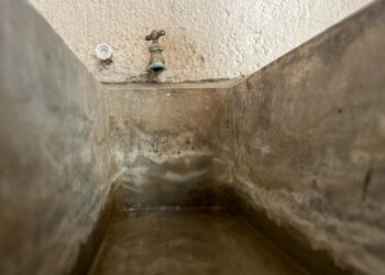  Llama IMSS Baja California Sur a estar alertas ante síntomas por dengue 