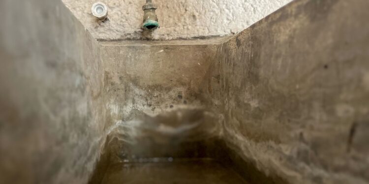  Llama IMSS Baja California Sur a estar alertas ante síntomas por dengue 