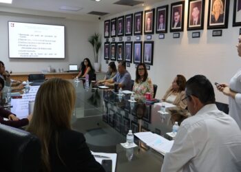 APRUEBA COMITÉ DE ÉTICA DE LA SECRETARÍA GENERAL DE GOBIERNO, PROGRAMA ANUAL DE TRABAJO