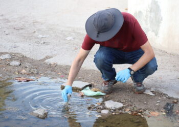 CONTINÚAN MUESTREOS EN SEGUIMIENTO EPIDEMIOLÓGICO DE MELIOIDOSIS