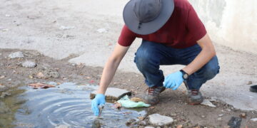 CONTINÚAN MUESTREOS EN SEGUIMIENTO EPIDEMIOLÓGICO DE MELIOIDOSIS