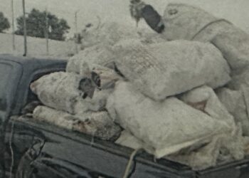 POR DELITO CONTRA LA GESTIÓN AMBIENTAL, FGR OBTIENE VINCULACIÓN A PROCESO CONTRA DOS PERSONAS EN BCS