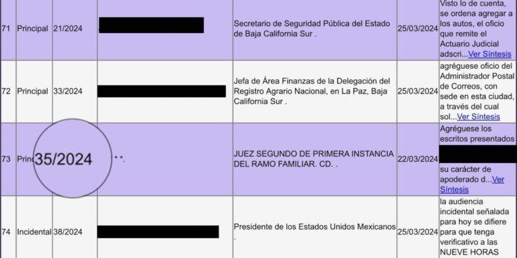 Juzgado Segundo de Distrito ordena a las autoridades de BCS proteger derechos de menor cuya madre litiga en redes sociales caso de presunto delito