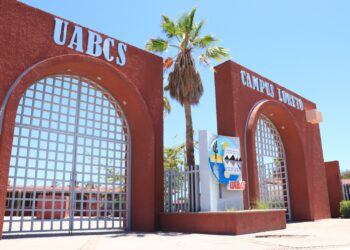 UABCS Loreto amplía su oferta educativa con un nuevo programa en Gestión y Tecnologías de la Información