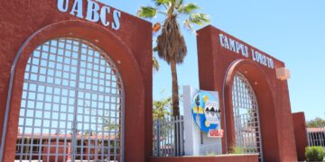 UABCS Loreto amplía su oferta educativa con un nuevo programa en Gestión y Tecnologías de la Información