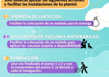 “Campaña de Fumigación Escolar”