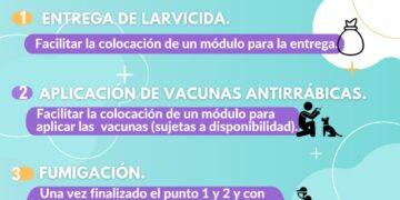 “Campaña de Fumigación Escolar”
