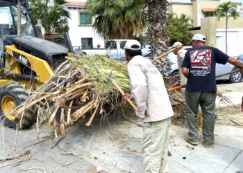 Con extensas jornadas y guardias permanentes labora el equipo de la Coordinación de Servicios Públicos en Cabo San Lucas, se ha logrado recabar 48 toneladas diariamente