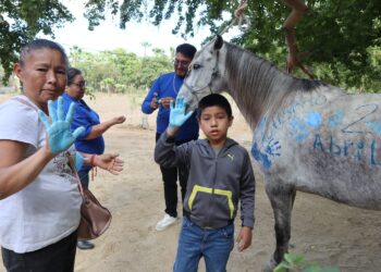 DIF Los Cabos (SMDIF) implementa de forma permanente el Programa de Equinoterapia.